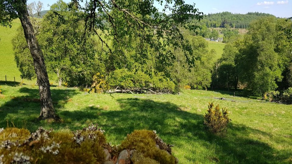 Slideshow 5 - Slide 21